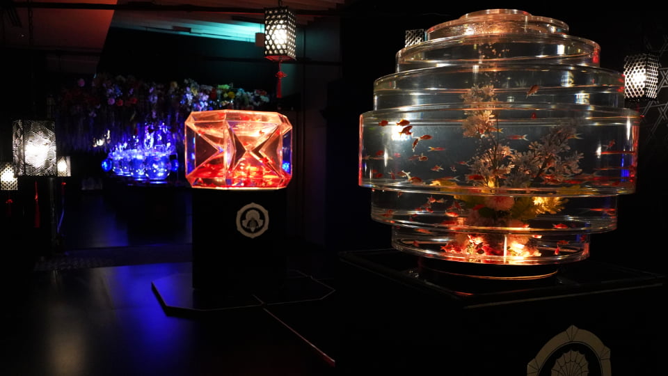 アートアクアリウム展 名古屋2026