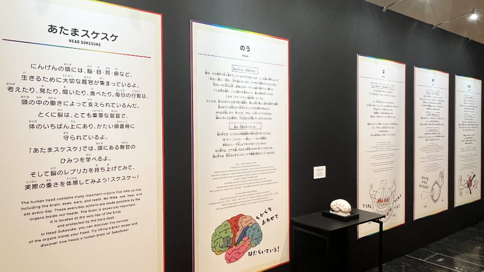 スケスケ展２