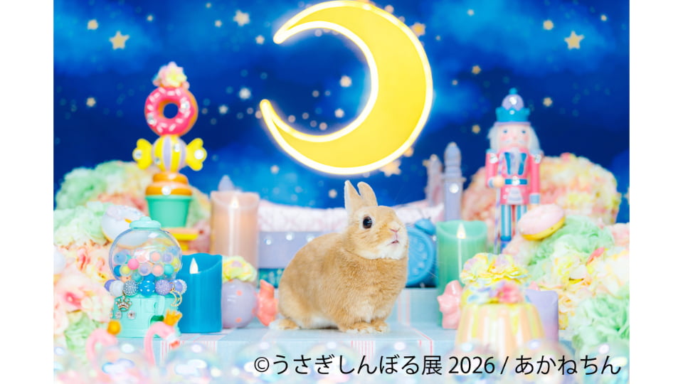 うさぎしんぼる展2026 in 名古屋