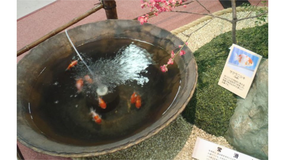 名古屋港水族館